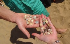 Fotografia zo zájazdu Víkendové kúpanie v talianskom Bibione a Lignano.