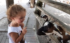 Fotografia zo zájazdu Víkendové kúpanie v talianskom Lignane!.