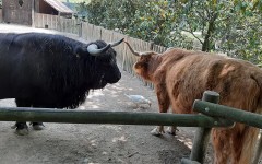Fotografia zo zájazdu Víkendové kúpanie v talianskom Lignane!.