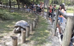Fotografia zo zájazdu Víkendové kúpanie v talianskom Lignane!.