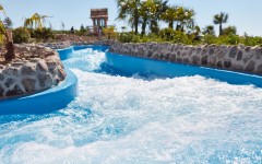 Fotografia zo zájazdu Víkendové Tropical Islands s delfínmi.