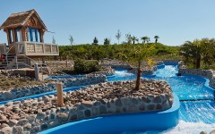 Fotografia zo zájazdu Víkendové Tropical Islands s delfínmi.