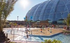 Fotografia zo zájazdu Víkendové Tropical Islands s delfínmi.