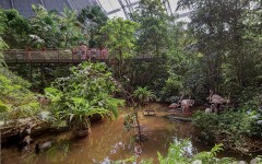 Fotografia zo zájazdu Víkendové Tropical Islands s delfínmi.