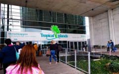 Fotografia zo zájazdu Víkendové Tropical Islands s delfínmi.