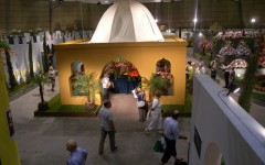 Fotografia zo zájazdu Kvetinová výstava v Tullne.