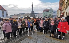 Fotografia zo zájazdu Olomouc - vianočné trhy v "meste fontán".