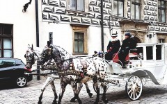 Fotografia zo zájazdu Adventný Krakow a Wroclaw.