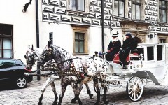 Fotografia zo zájazdu Vianočný wellness Krakow.