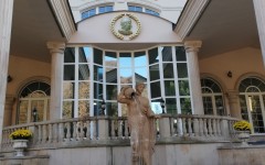 Fotografia zo zájazdu Wellness pobyt v Gino Park Palace****.