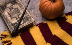 Fotografia zo zájazdu Londýn - Harry Potter.