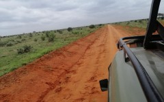 Fotografia zo zájazdu KEŇA – pravé africké dobrodružstvo na safari.