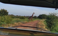 Fotografia zo zájazdu KEŇA – pravé africké dobrodružstvo na safari.