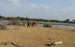 Fotografia zo zájazdu KEŇA – pravé africké dobrodružstvo na safari.