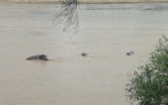 Fotografia zo zájazdu KEŇA – pravé africké dobrodružstvo na safari.