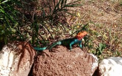 Fotografia zo zájazdu KEŇA – pravé africké dobrodružstvo na safari.