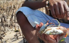 Fotografia zo zájazdu KEŇA – pravé africké dobrodružstvo na safari.