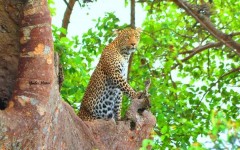 Fotografia zo zájazdu KEŇA – pravé africké dobrodružstvo na safari.