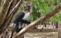 Fotografia zo zájazdu KEŇA – pravé africké dobrodružstvo na safari.