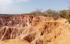 Fotografia zo zájazdu KEŇA – pravé africké dobrodružstvo na safari.