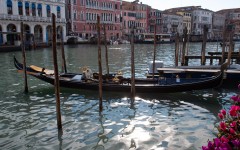 Fotografia zo zájazdu Slnečné Benátky.