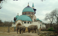 Fotografia zo zájazdu Budapešť Zoo alebo Travelling Galaxy.