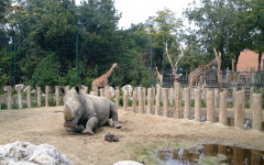 Fotografia zo zájazdu Budapešť Zoo alebo Travelling Galaxy.