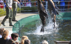 Fotografia zo zájazdu Budapešť Zoo alebo Travelling Galaxy.