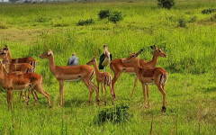 Fotografia zo zájazdu Čarovný Zanzibar a safari v Tanzánii.