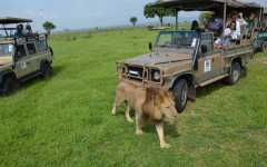 Fotografia zo zájazdu Čarovný Zanzibar a safari v Tanzánii.