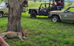 Fotografia zo zájazdu Čarovný Zanzibar a safari v Tanzánii.