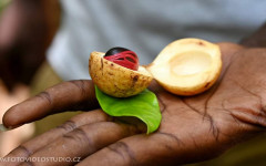 Fotografia zo zájazdu Čarovný Zanzibar a safari v Tanzánii.