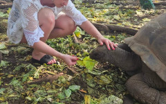 Fotografia zo zájazdu Čarovný Zanzibar a safari v Tanzánii.