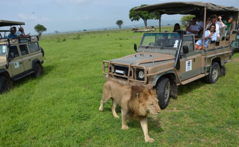 Čarovný Zanzibar a safari v Tanzánii