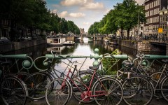 Fotografia zo zájazdu Tulipánový Amsterdam.