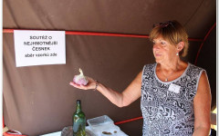 Fotografia zo zájazdu Festival cesnaku v Buchloviciach a romantický zámok.