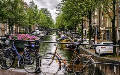 Fotografia zo zájazdu Tulipánový Amsterdam.