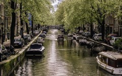 Fotografia zo zájazdu Tulipánový Amsterdam.