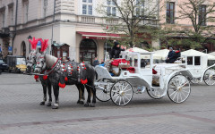 Fotografia zo zájazdu Adventný Krakow a Wroclaw.