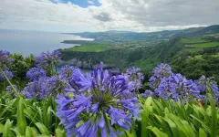Fotografia zo zájazdu Čarovné Azorské ostrovy.