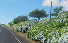 Fotografia zo zájazdu Čarovné Azorské ostrovy.