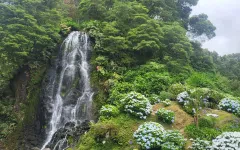 Fotografia zo zájazdu Čarovné Azorské ostrovy.