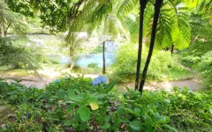 Fotografia zo zájazdu Čarovné Azorské ostrovy.