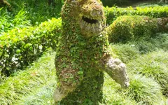 Fotografia zo zájazdu Čarovné Azorské ostrovy.