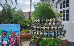 Fotografia zo zájazdu Čarovné Azorské ostrovy.