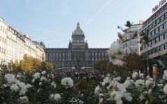 Fotografia zo zájazdu Muzikál Heleny Vondráčkovej - KVÍTEK MANDRAGORY.